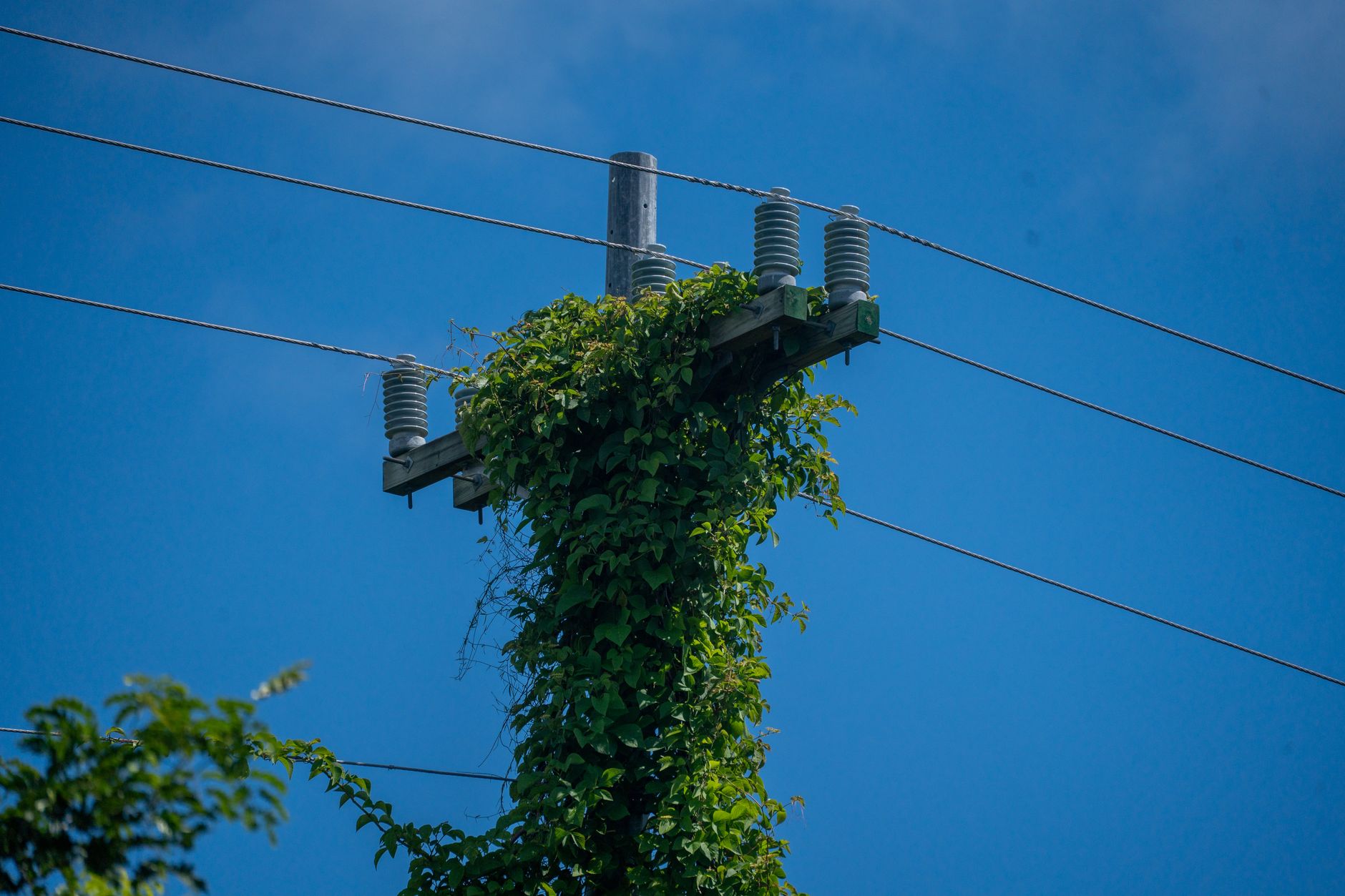 Zelenski acuză Rusia de dispreț față de SUA după atacurile masive asupra infrastructurii energetice