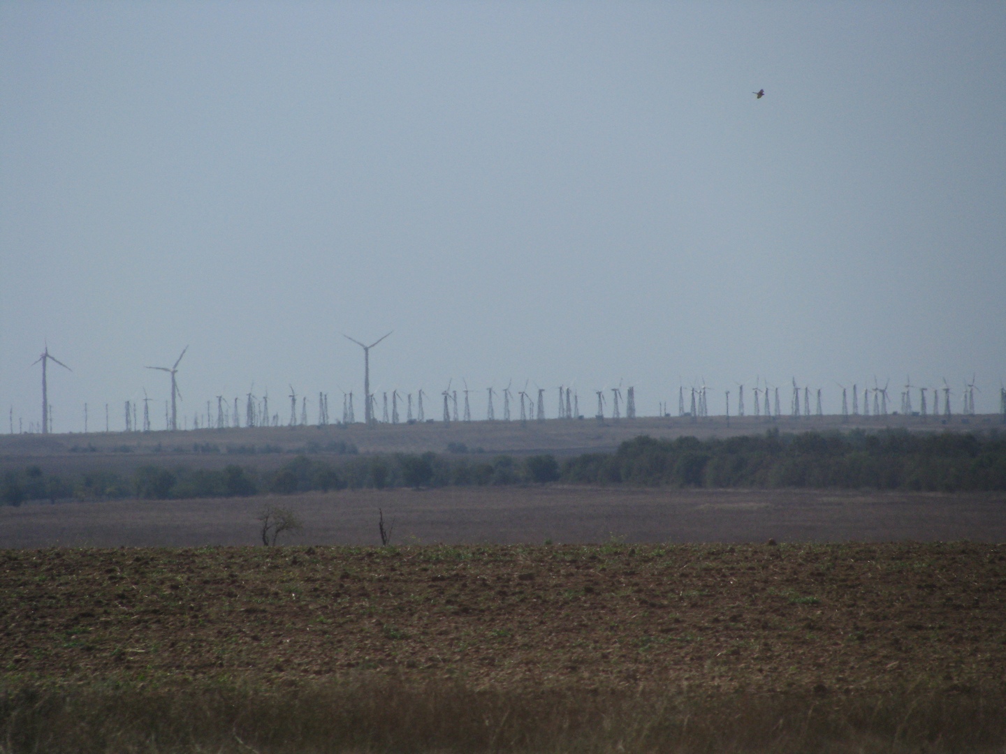 Fondul pentru energia Ucrainei a depășit 2,4 miliarde de euro, dar deficitul de finanțare persistă