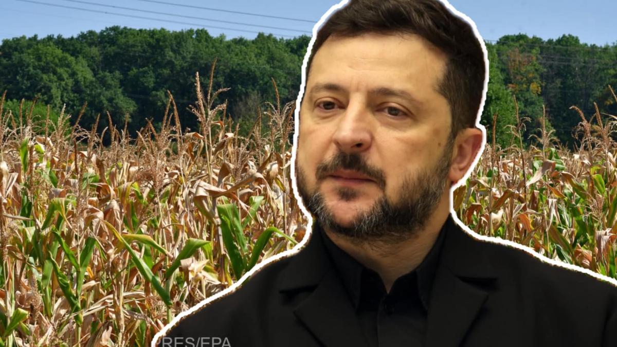 Zelenski solicită României și altor trei state vecine permisiunea pentru tranzitul cerealelor ucrainene