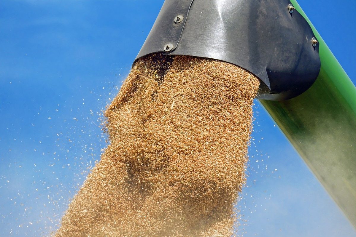 Turcia, Egipt și India propun un nou mecanism pentru exportul cerealelor prin Marea Neagră