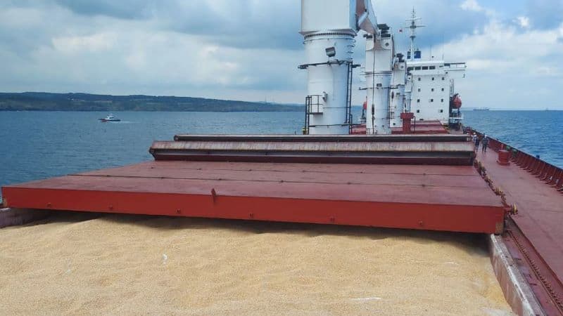 Kaja Kallas avertizează: Atacurile rusești asupra navelor din Marea Neagră pot declanșa o criză alimentară globală
