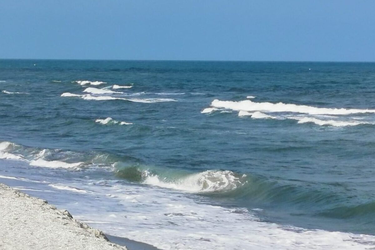Parlamentul European solicită desfășurarea unei operațiuni navale a UE în Marea Neagră