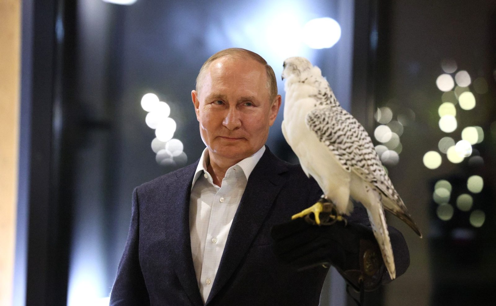 Vladimir Putin invocă studii genetice pentru a susține că rușii și ucrainenii sunt un singur popor