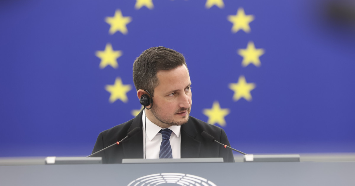 Nicu Ștefănuță avertizează asupra atacurilor asupra Flancului Estic: România a evitat victimele prin noroc