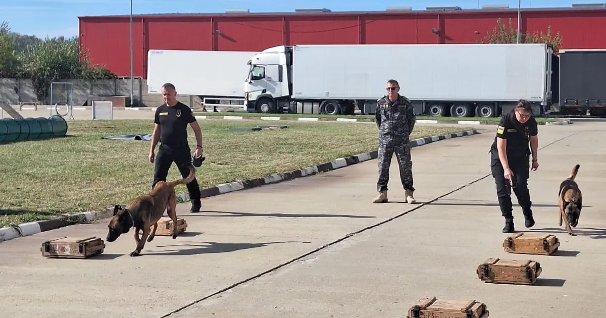 Echipe canine ucrainene antrenate în România pentru combaterea traficului la graniță