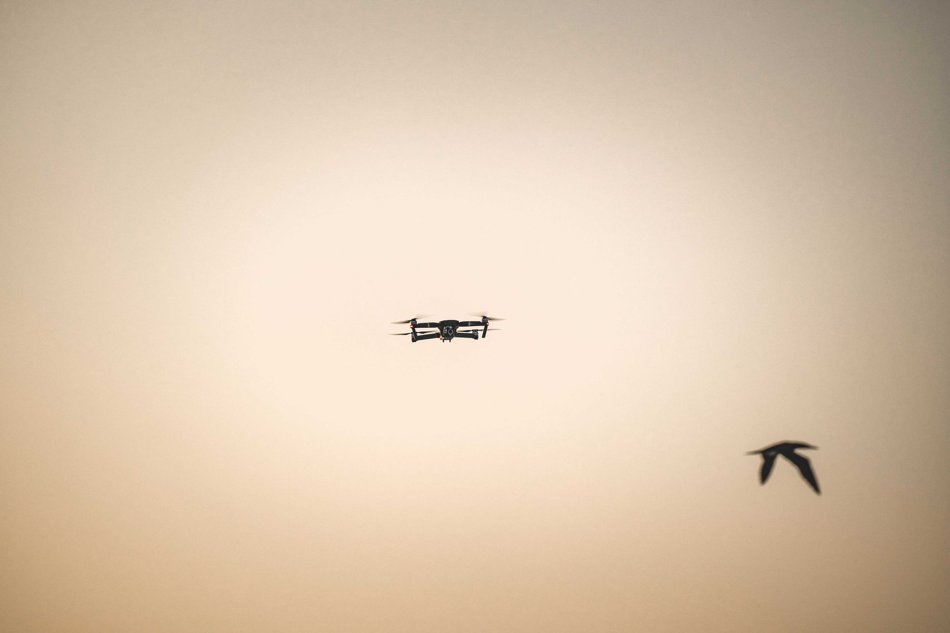 Atac masiv cu drone asupra regiunii Moscova: peste 80 de aparate interceptate și aeroporturi închise
